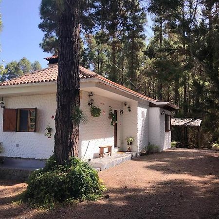 Villa Floral Garden House Icod De Los Vinos Esterno foto