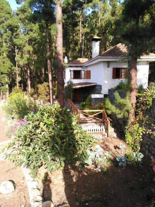 Villa Floral Garden House Icod De Los Vinos Esterno foto