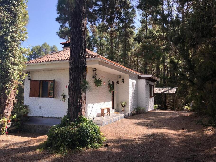 Villa Floral Garden House Icod De Los Vinos Esterno foto