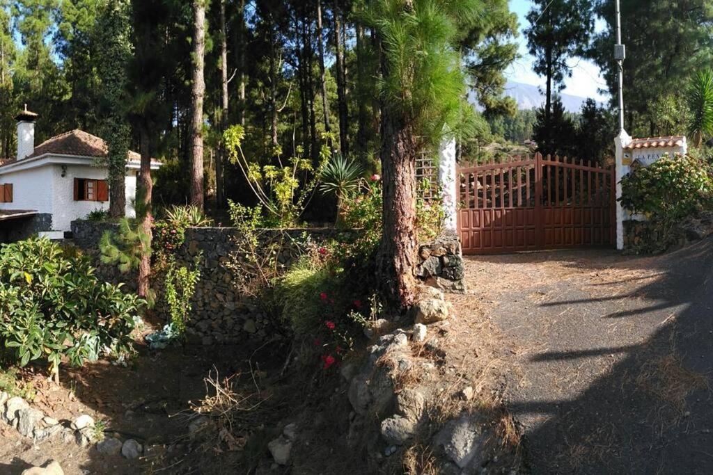 Villa Floral Garden House Icod De Los Vinos Esterno foto