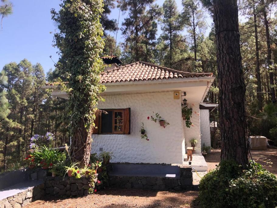 Villa Floral Garden House Icod De Los Vinos Esterno foto